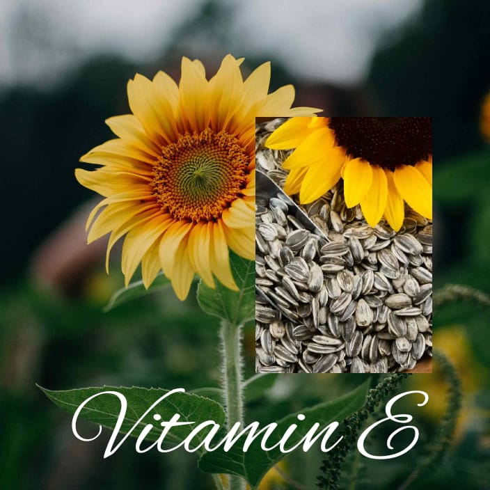 विटामिन-ई  sunflower seed