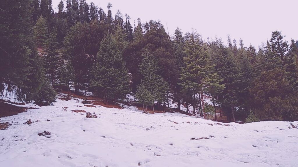 Snowfall in Manali